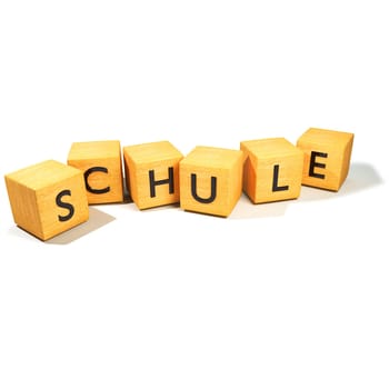 Cube and School
