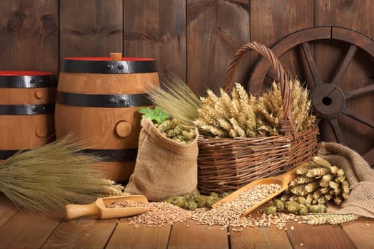 Two beer barrels with wheat,barley,hops and malt
