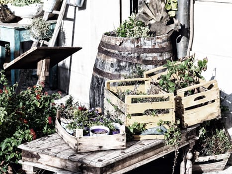 wooden boxes flowers colored. Flower in a street market