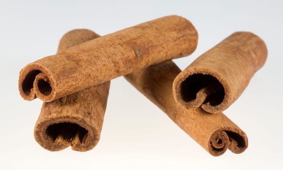 Stacked Cinnamon Sticks close up on a white background.