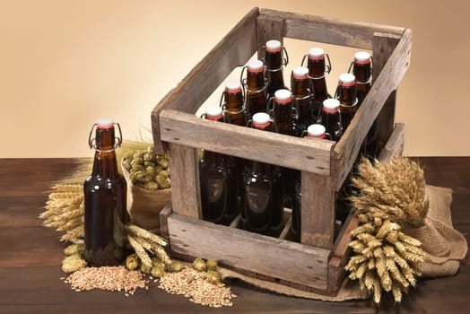 Beer box and beer bottle with wheat,barley,hops and malt