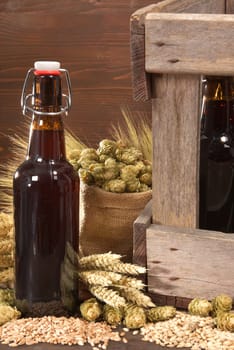 Beer box and beer bottle with wheat,barley,hops and malt