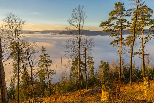 Dawn over the Sea of Clouds