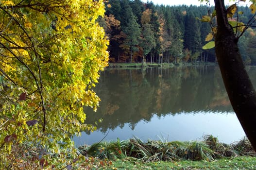 Autumn Impression,Autumn  Beuerbach