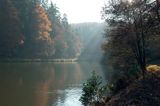 Autumn Impression,Forest,Lake
