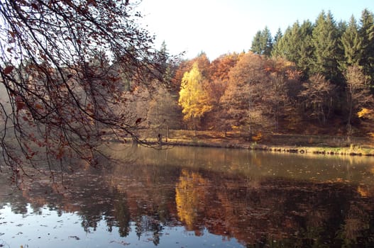 Autumn Impression,Forest,Lake