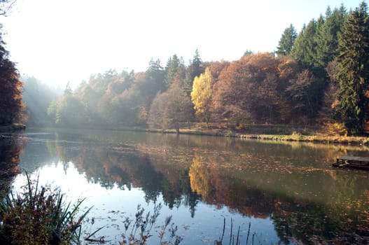 Autumn Impression,Forest,Lake