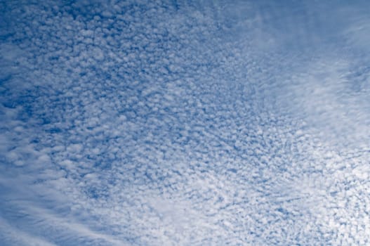 Sheep clouds,Cirrocumulus,undulatus