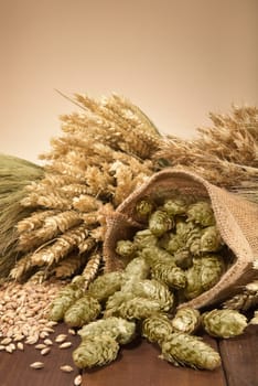 Beer ingredients - wheat,barley,hops and malt