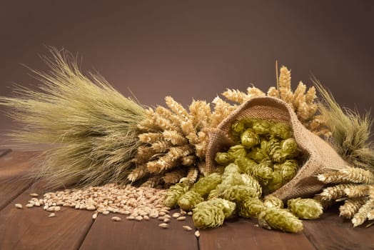 Beer ingredients - wheat,barley,hops and malt