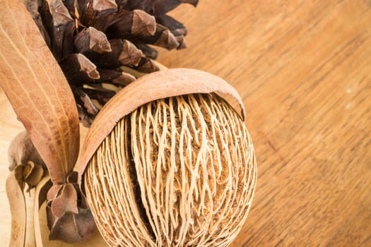 Mix of dried plant ornament on wooden background, stock photo