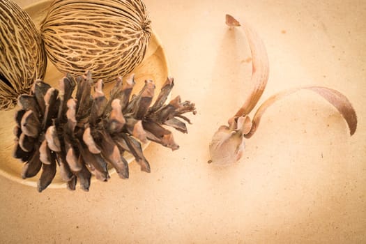 Mix of dried plant ornament on wooden background, stock photo
