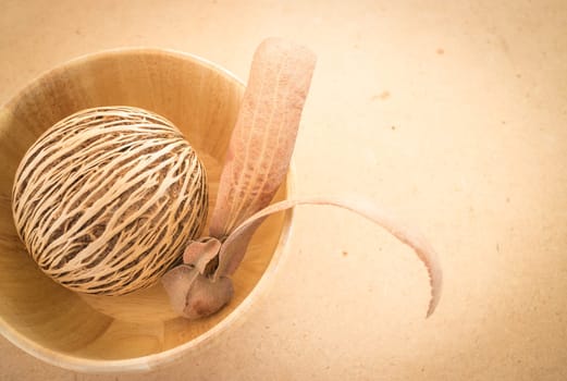 Two-winged fruit of Dipterocarpus on wooden table, stock photo