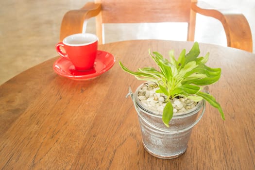 Red cup of coffee and green plant bucket on wooden table, stock photo
