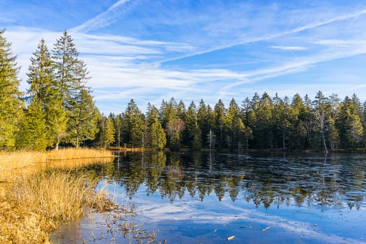 Etang de la Gruére 2