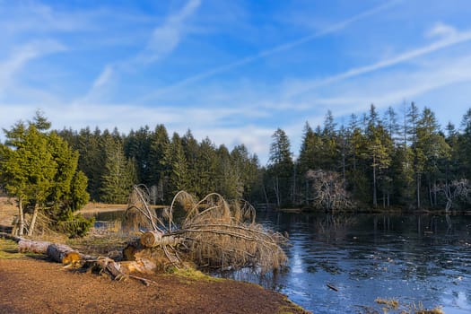 Etang de la Gruére 3