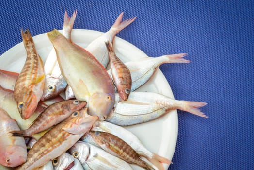 recently caught fish ready to be cooked on barbecue