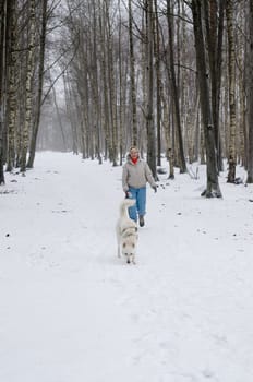 Woman with dog walking down the avenue in the winter.