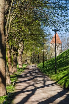 Park in Tallinn, a beautiful spring day