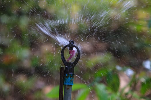 irrigation of agricultural field, water sprinkler