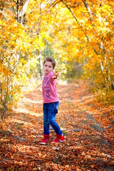 5 year old boy portrait outdoor in autumn.