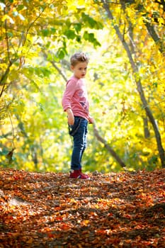 5 year old boy portrait outdoor in autumn.