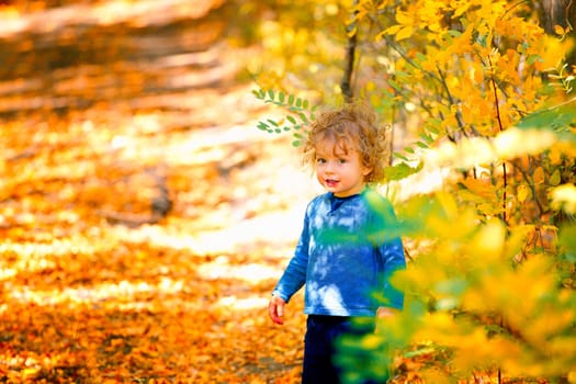 Portrait of 1 year old baby boy taking a walk in the woods in the fall.