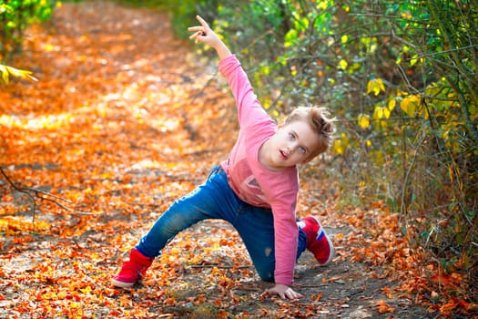 5 year old boy portrait outdoor in autumn.