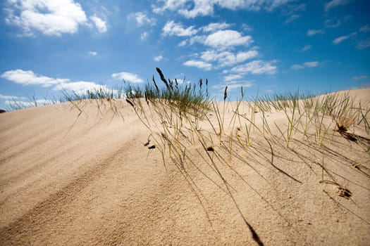 Sand dune with some grass and a nice blue sky with a few clouds