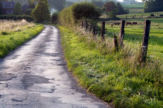 Country road in the North of France