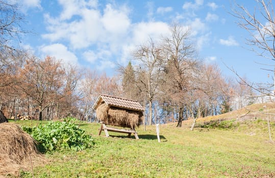 Manger with hay in a pen for large mammals. The traditional design of the trough for feeding animals during winter in hunting areas