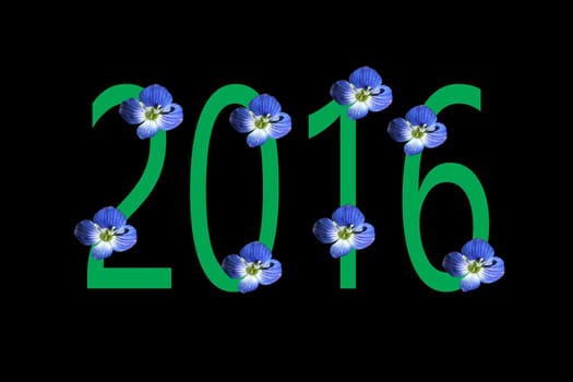 The New Year 2016