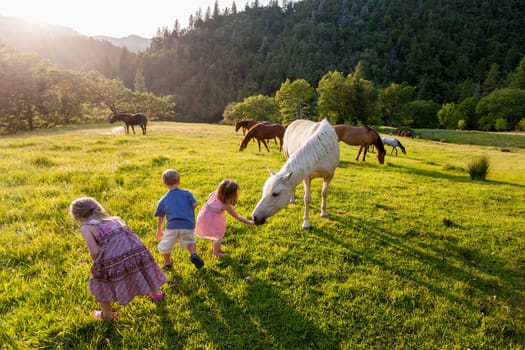 Children, free range horses in pasture, Bar 717 Ranch, Northern California