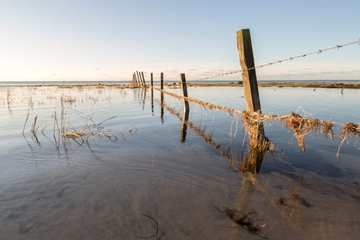 Fence in Water by ocean.