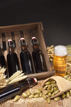 Beer box and beer glass with wheat,barley,hops and malt