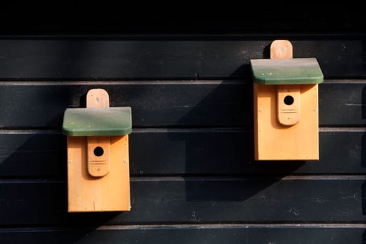 Two birdhouses on black wooden fence. Illustrating a living apart together (LAT) relationship. The birdhouses are identical but they are hanging at a different height.  They are yellow orange wooden houses with a green roof.