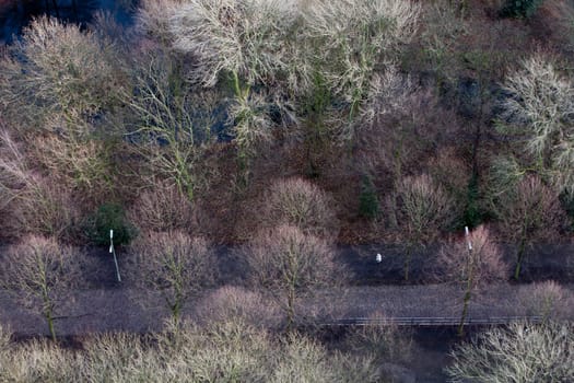 Aerial view of te Park in Rotterdam on a windy sunny day in December. The white dot is someone who’s having a walk.