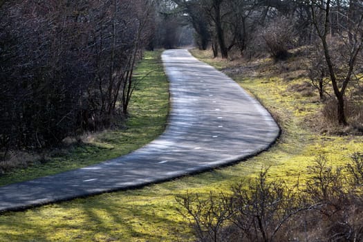 Country road asphalt in the Netherlands