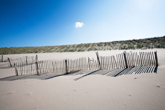 Wooden fences on the beach