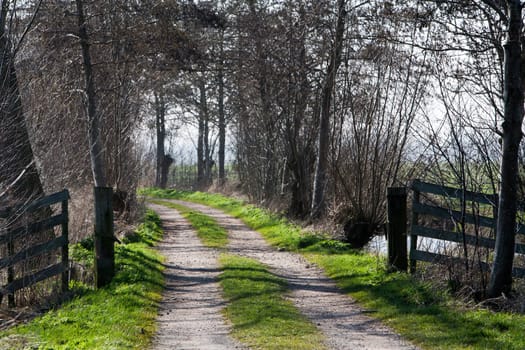 Country road leading to some  farms