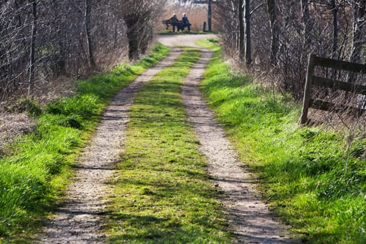 Country road leading to some farms. Two people resting on a bench in the background