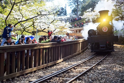 Alishan,Taiwan - March 15,2012