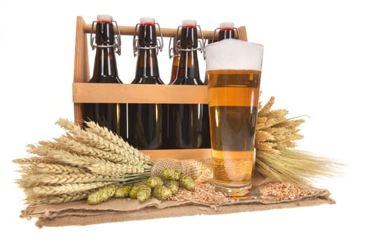 Beer carriers and beer glass with wheat,barley,hops and malt Insulated On White