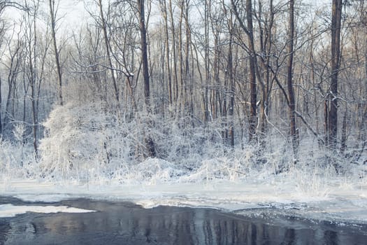 Beautiful frozen winter nature. Forest and river covered by ice and snow