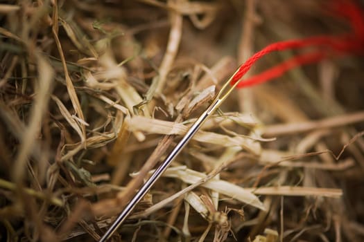 large stuffing needle with red thread in the haystack