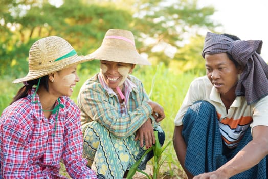 Asian Burmese farmers taking a rest after long hour working under the sun.