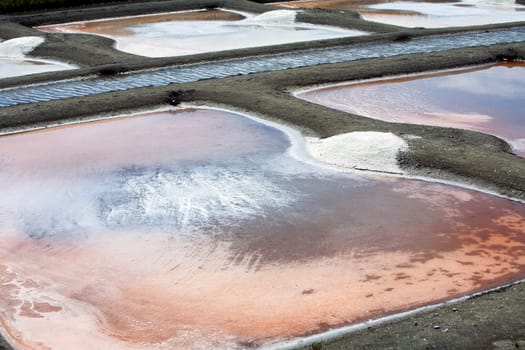Sea Salt basins in Noirmoutier in France