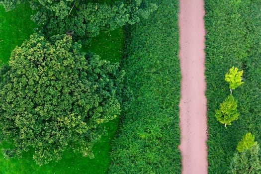 Aerial view of a bicycle path or footpath in a green environment