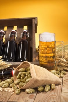 Beer box and beer glass with wheat,barley,hops and malt