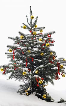 Christmas tree with snow